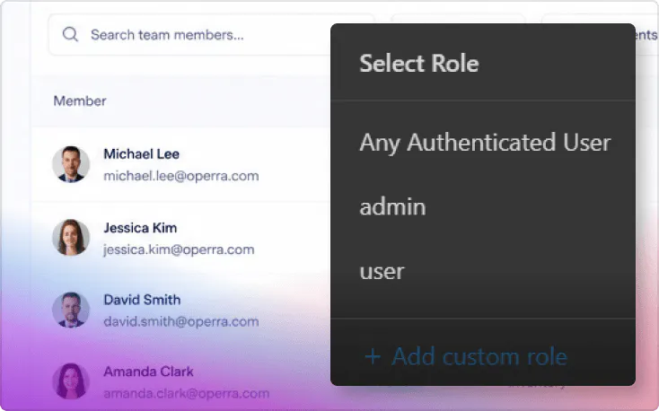 Business operations user roles limitation screenshot